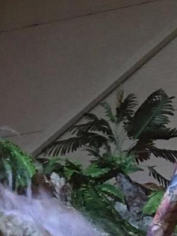 София фото 2